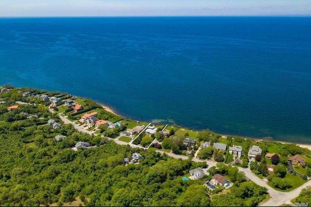 Aerial view of East Marion coastline with houses nestled among trees