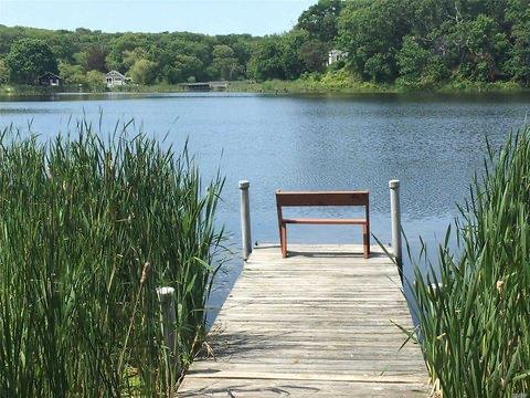 Peaceful lake with wooden dock surrounded by nature